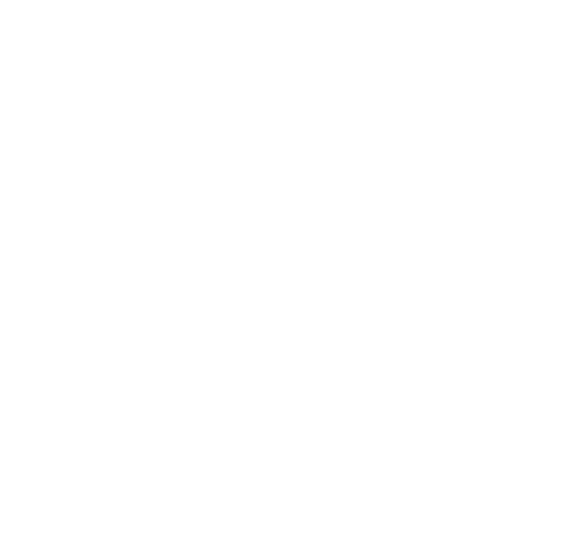 Palm Trees and Saltwater